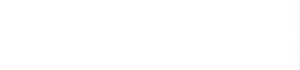 logo nido e volo roma